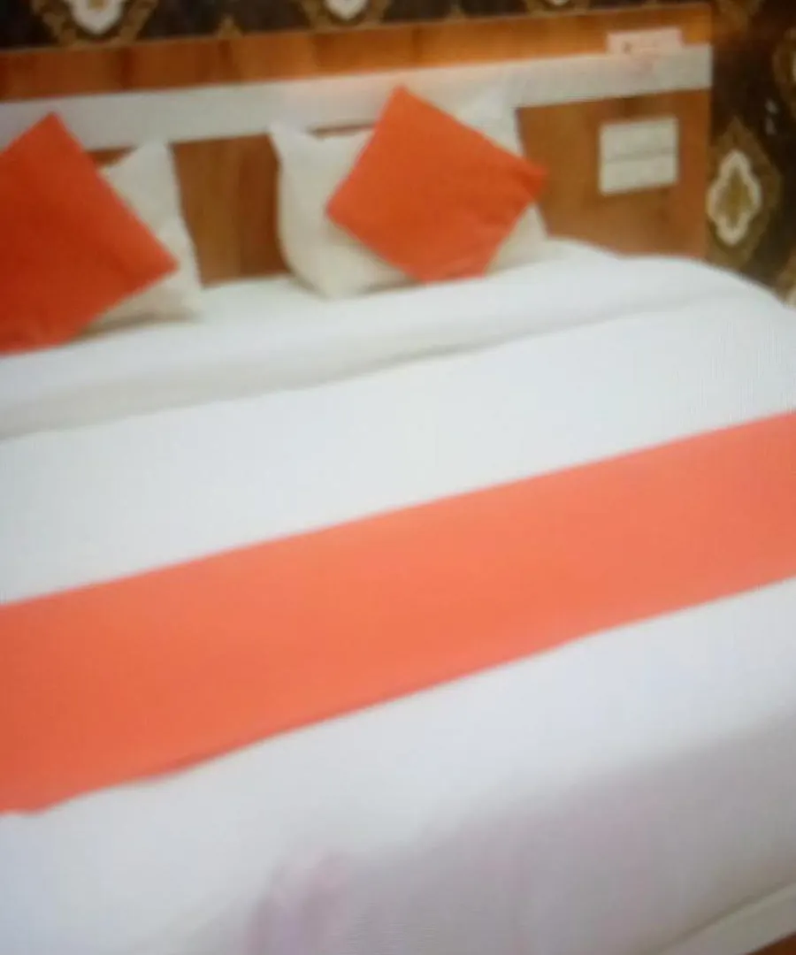 Hotel Stay Inn. Udaipur