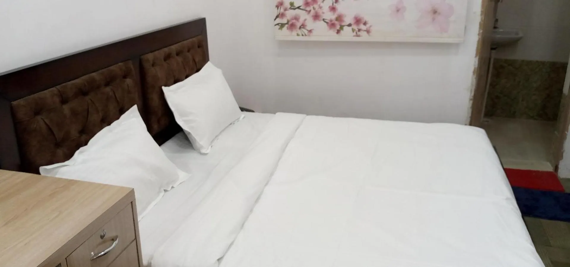 Hotel Stay Inn. Udaipur