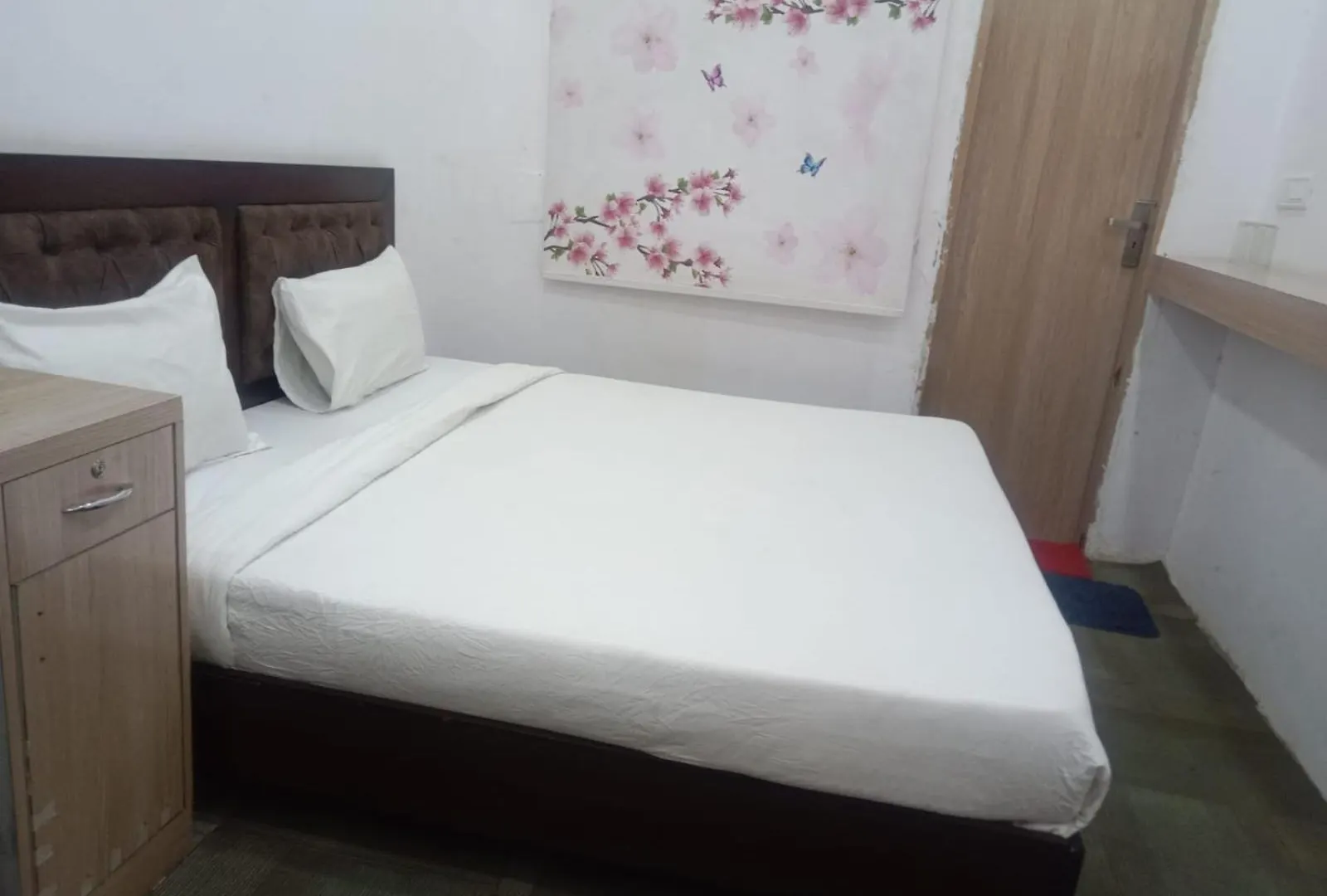Hotel Stay Inn. Udaipur